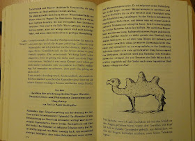 Ein dreihöckriges Kamel - Zeichnung im Buch