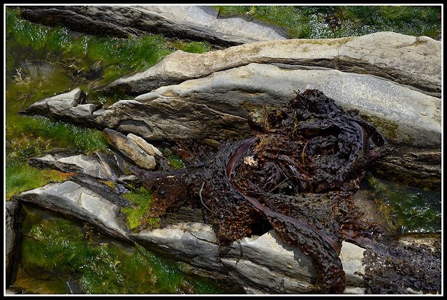 Risser's Beach; Nova Scotia; Atlantic Maritimes