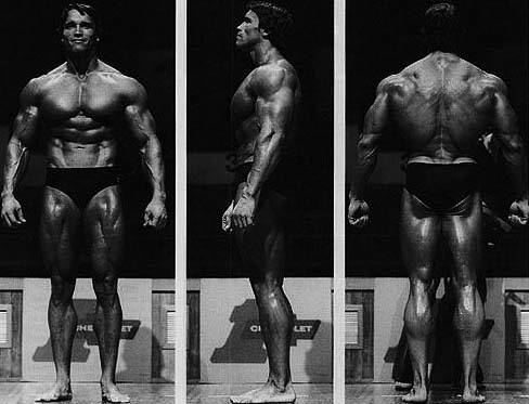 arnold schwarzenegger 2011 body. arnold schwarzenegger body