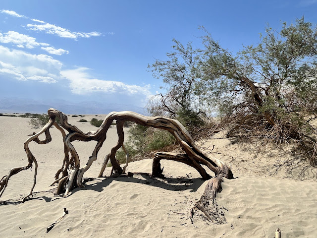 Death Valley National Park