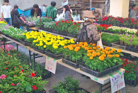 fair, festival, flowers, Kin Town, Okinawa, nuchigusui