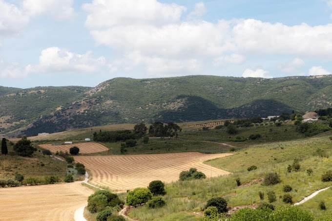 El Valle de Jezreel en la Biblia: Descubre su significado y ubicación histórica