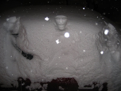 Amazing Snow Prints absolutely incredible