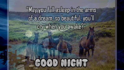 Beautiful good night quotes and inspirational sayings