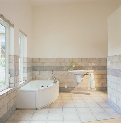 Ideas  Home Design on Bathroom Area In Home