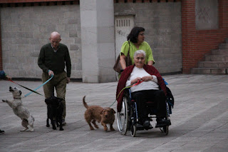 Ancianos de una residencia viven una jornada en contacto de perros abandonados