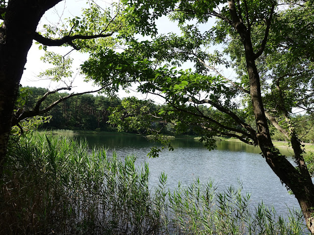 大和ハウス工業ロイヤルシティ大山リゾートの別荘地の大成池