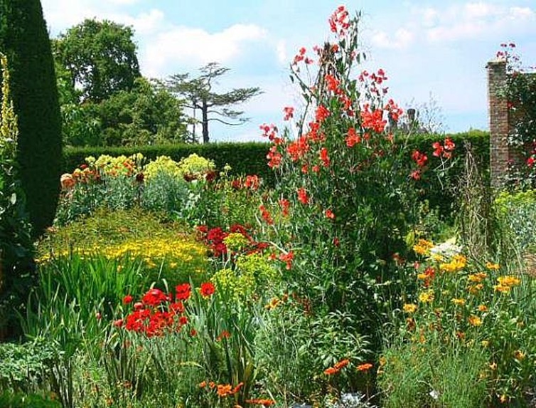 flower garden