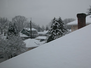 snow houses 