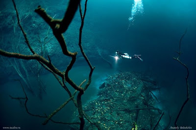 foto sungai di dalam laut