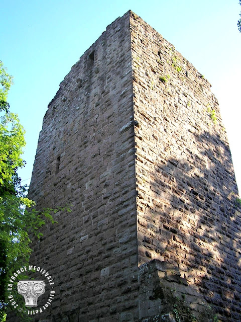 OBERHASLACH (67) - Château du Nideck