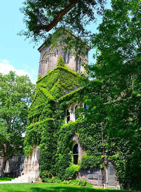 ivy covered buildings toronto ontario university