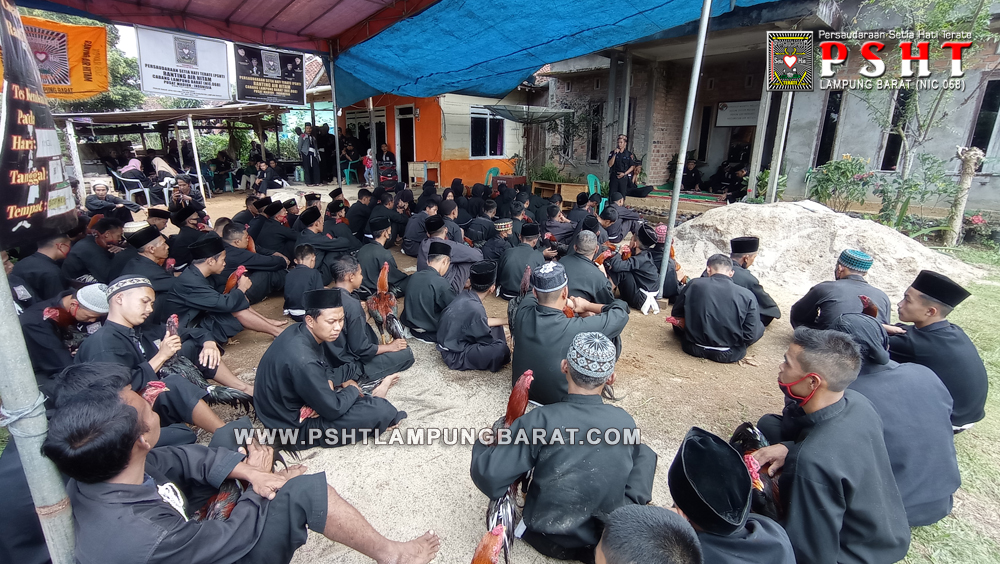 Tes Jago Calon Warga SH Terate Ranting Air Hitam Cabang Lampung Barat di Pekon Sri Menanti