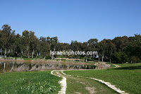 Antipatris, National Park, Tel Afek, The Water Lily Pool, Yarkon National Park