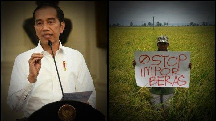 Jokowi Sebut Indonesia Sudah Tidak Impor Beras Selama 3 Tahun, Kalian Percaya?
