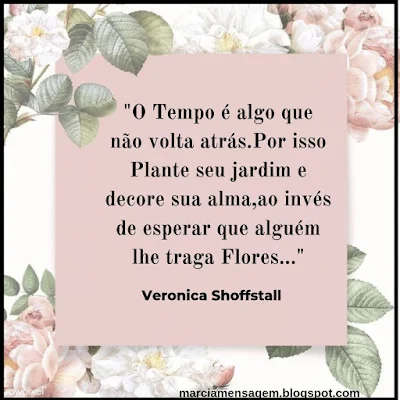 Frase de Veronica Shoffstall