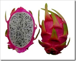 09_dragon_fruit