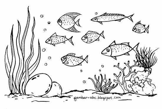 Gambar Mewarnai Ikan Laut Contoh Gambar Mewarnai Gambar Mewarnai Ikan Laut Contoh Gambar Mewarnai