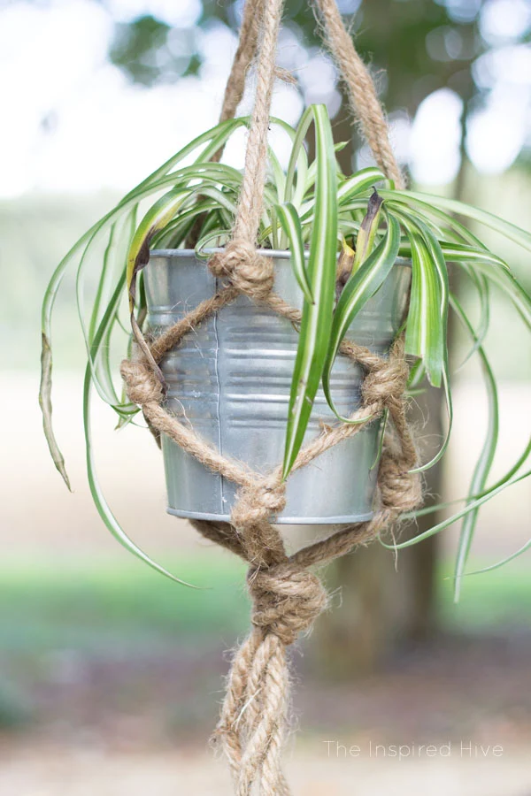 How to make a DIY jute rope macrame plant hanger. Perfect way to get the farmhouse look with macrame!