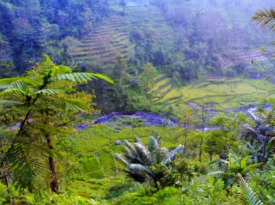 Kisah Wali Songo : Sunan Muria (Raden Umar Said) - Cerita 