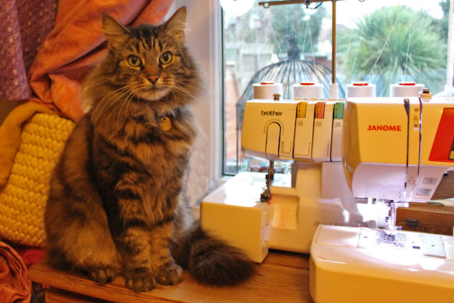 Wendy's Week - UFO's & Flashing Lights - My Cat Beau helping me sew my 1950's Box Pleat Skirt