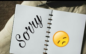 Sorry Status in Hindi