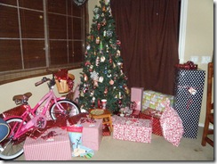 Christmas Fun 124