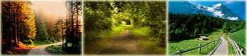 Viet Nam Travel Guide,travel to vietnam, travel in vietnam, vietnam tours