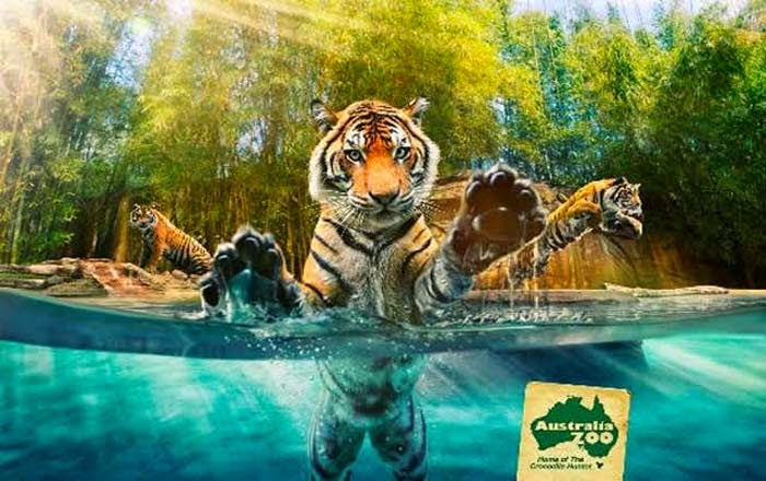 10 of the World's Most Famous Zoos - Sunshine Coast, Australia