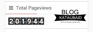 pageview kataubaid.com