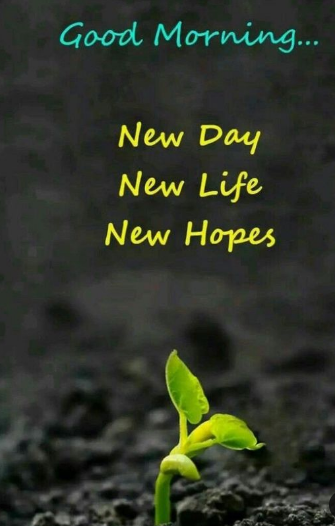 Good Morning Hope quotes Image