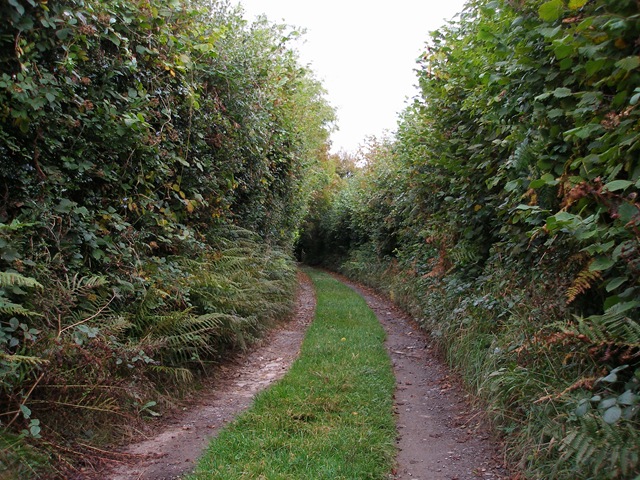 4th_october_2009