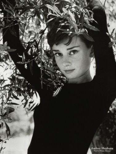 Audrey Hepburn Icon