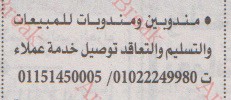 اهم وافضل الوظائف اهرام الجمعة وظائف خلية وظائف شاغرة على عرب بريك