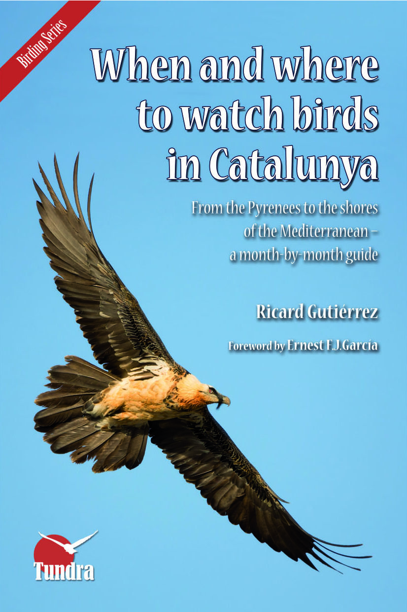 Rare Birds In Spain Blog When And Where To Watch Birds In
