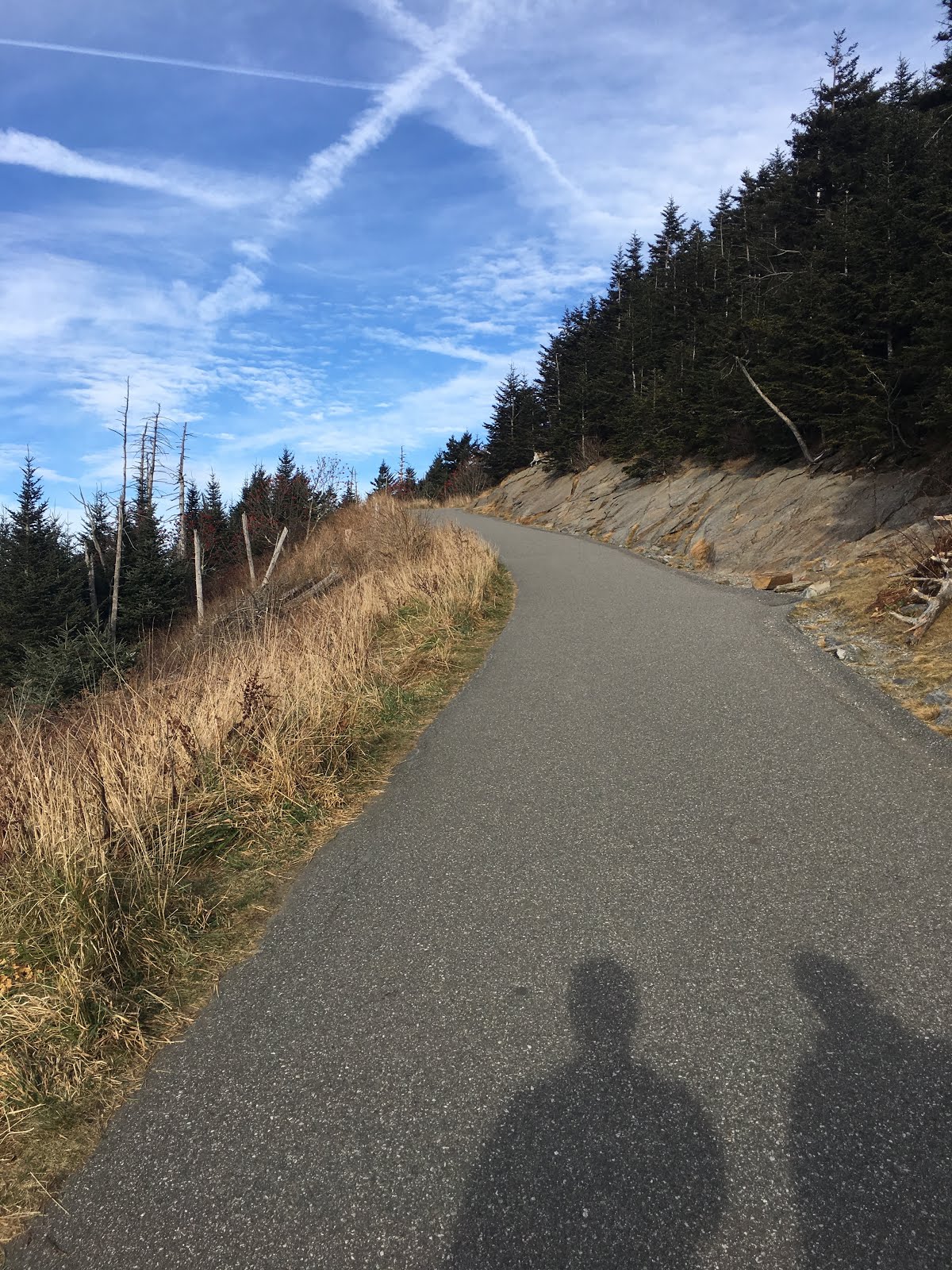 Clingman's Shadows