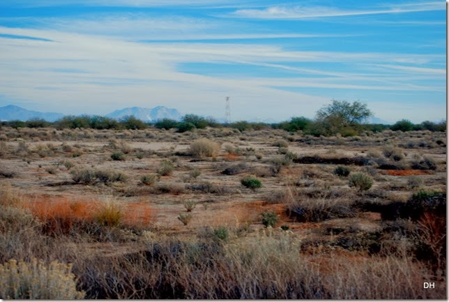11-30-13 A Casa Grande SKP Park Area (31)a