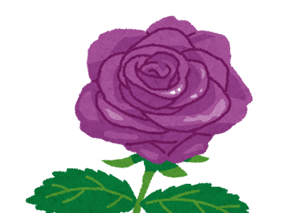 紫 バラ 262403-紫 薔薇 背景