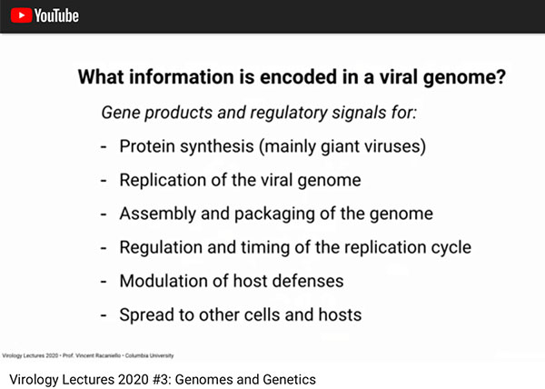 What information is stored n the viral genome?  (Source: Vincent Racaniello, Columbia, U.)