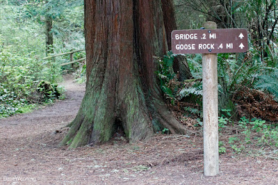 Goose Rock Trailhead at North Beach