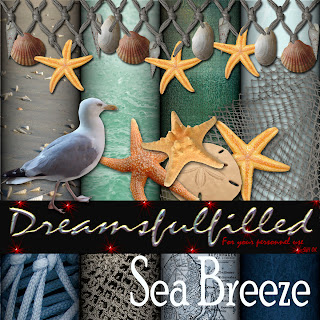 http://feedproxy.google.com/~r/Dreamsfulfilled/~3/KNJNiZw58Tk/sea-breeze-elements-2.html