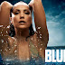 Free Download Blue Film.com
