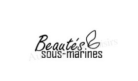 http://www.aubergedesloisirs.com/tampons-non-montes/2956-beautes-sous-marines.html