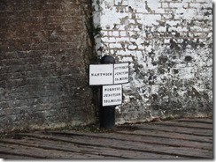 DSCF7769