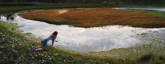 ellen kooi fotografia holanda panorâmicas