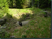 DSCN0337