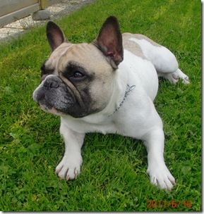 Juni-Juli 2011 077