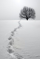 La glosa del arcángel de la nieve, Francisco Acuyo