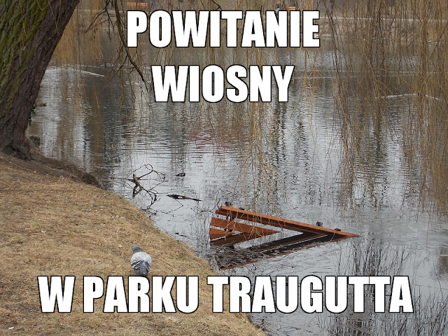 Park Traugutta Kutno