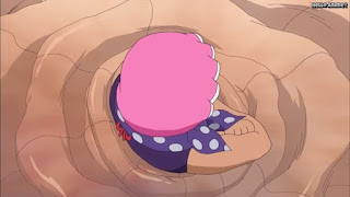 ワンピースアニメ ドレスローザ編 664話 セニョール・ピンク | ONE PIECE Episode 664